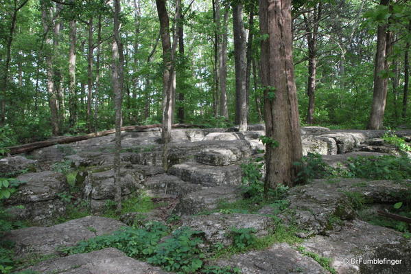 Stones River National Battlefield -- Slaughter Pen