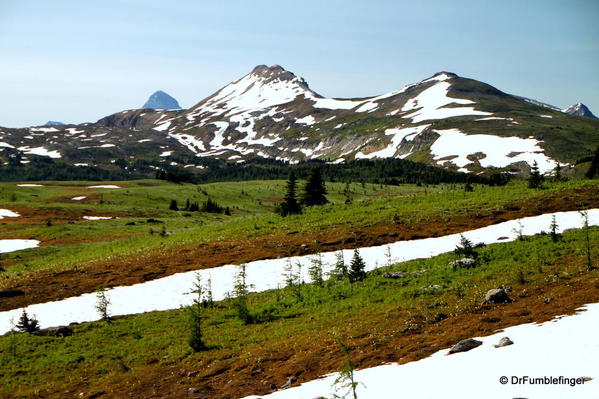 Sunshine Meadows. The snow persists into July.