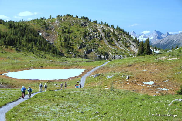 Sunshine Meadows, Banff National Park