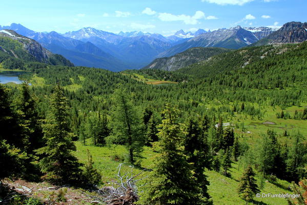 View of Larix & Grizzly Lakes -- Sunshine Meadows