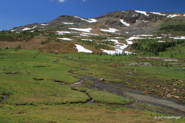 Sunshine Meadows, Banff National Park