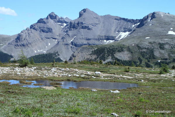 Sunshine Meadows, Banff National Park