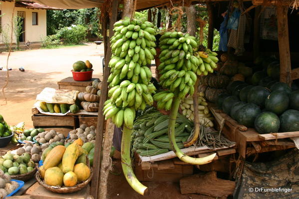 Produce Stand, Southern Sri Lanka