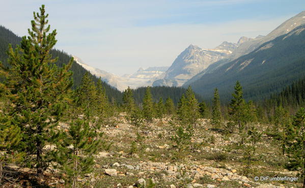 Yoho Valley -- viewed from near trailhead.