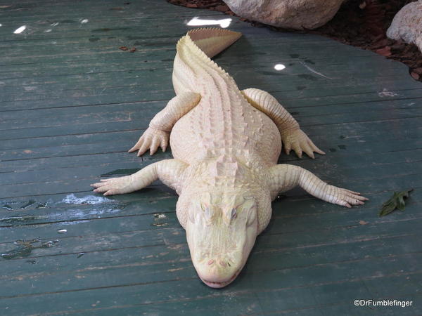 Gatorland