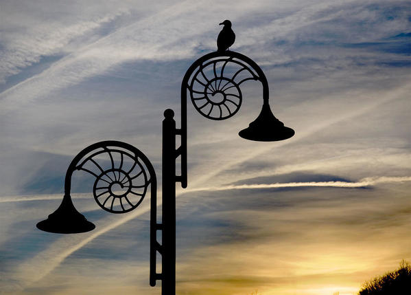 220px-Ammonite_lamp_post_at_dusk,_Lyme_Regis