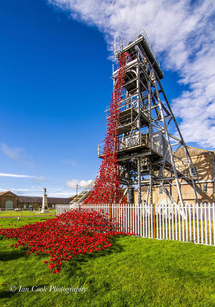 Poppies: Weeping Window at Woodhorn