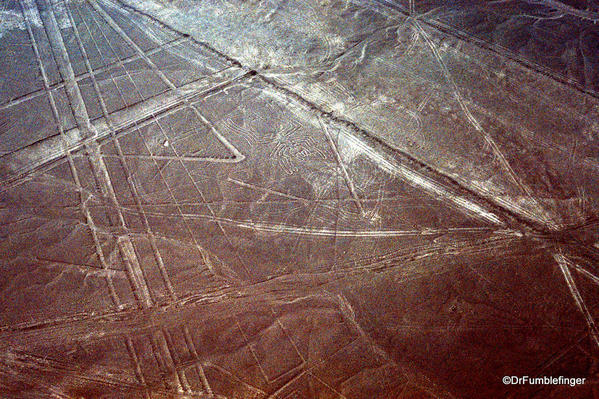 Nazca lines. spider