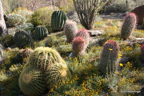 Living Desert, Palm Desert, California. Botanical Park