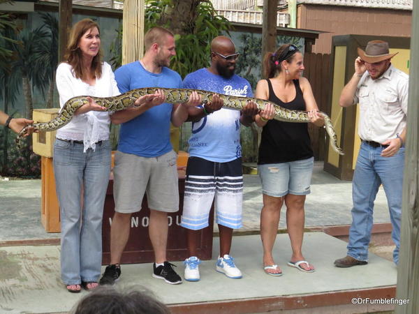 Gatorland, Upclose encounters show, Burmese python