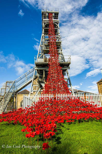 Poppies: Weeping Window at Woodhorn