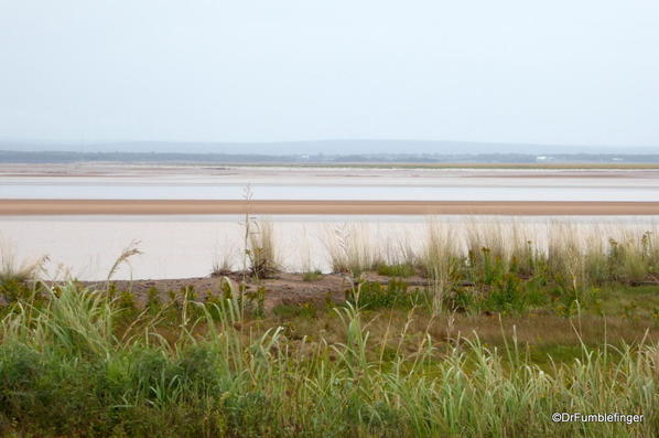 48 Area around Burntcoat Head Provincial Park (3)