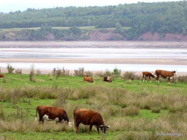 48 Area around Burntcoat Head Provincial Park (5)