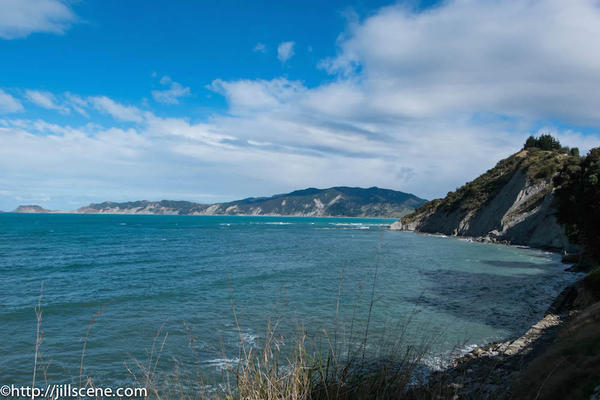 5). Tokomaru Bay - taken from near the old wharf)