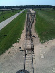 Birkenau Train Tracks