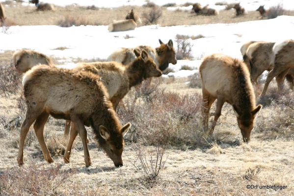 , spring at Rocky Mountain National Park