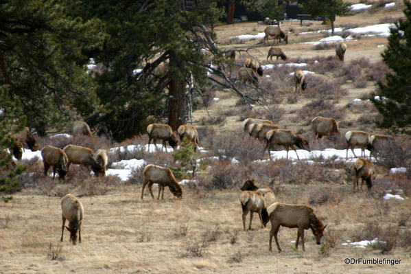 , spring at Rocky Mountain National Park