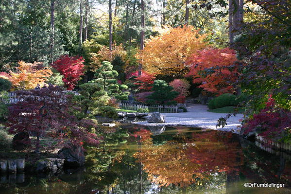 Nishinomiya Tsutakawa Japanese Garden in Autumn, Manito Park, Spokane