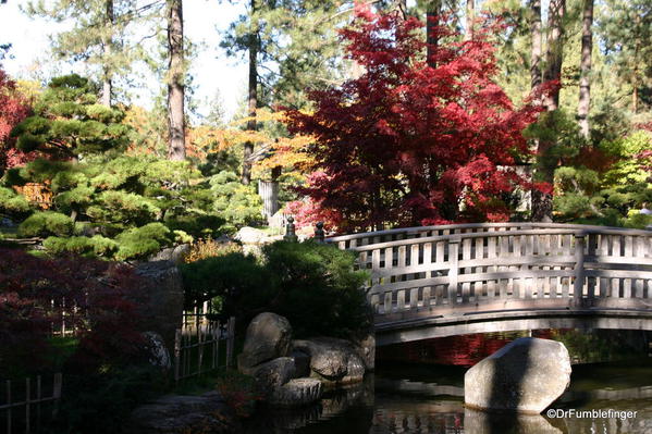 Nishinomiya Tsutakawa Japanese Garden in Autumn, Manito Park, Spokane