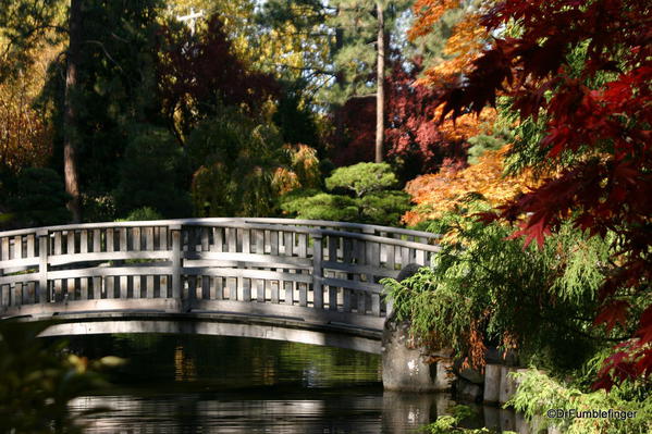 Nishinomiya Tsutakawa Japanese Garden in Autumn, Manito Park, Spokane