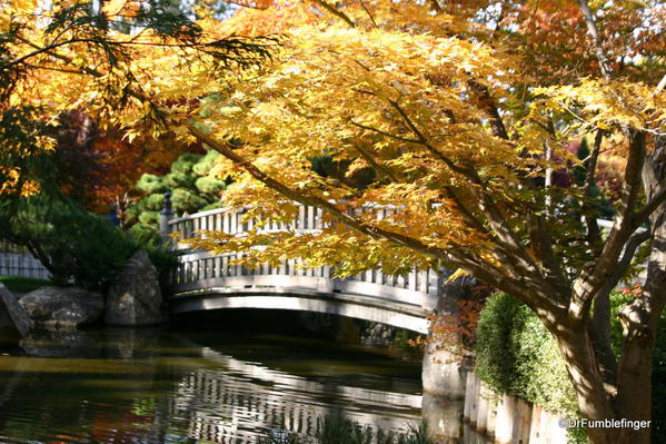 Nishinomiya Tsutakawa Japanese Garden in Autumn, Manito Park, Spokane