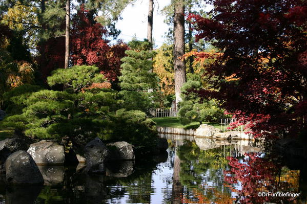 Nishinomiya Tsutakawa Japanese Garden in Autumn, Manito Park, Spokane