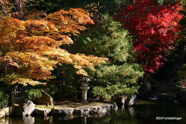 Nishinomiya Tsutakawa Japanese Garden in Autumn, Manito Park, Spokane