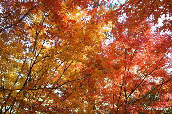 Nishinomiya Tsutakawa Japanese Garden in Autumn, Manito Park, Spokane