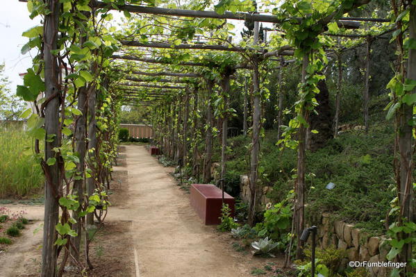 Herb Garden, Getty Villa