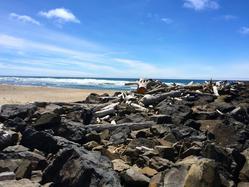 Jetty & Sky