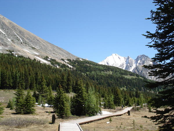 Kananaskis Country 04. Subalpine hiking trail