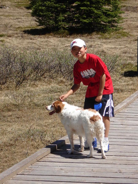 Kananaskis Country 05. Pets are welcome in Canada