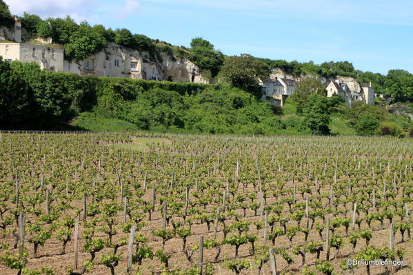 Vineyards and caves, Loire Valley