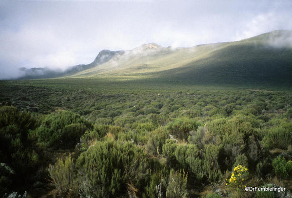 Mt. Kilimanjaro