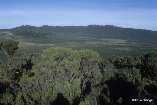 Shira Plateau viewed from Fischer Camp