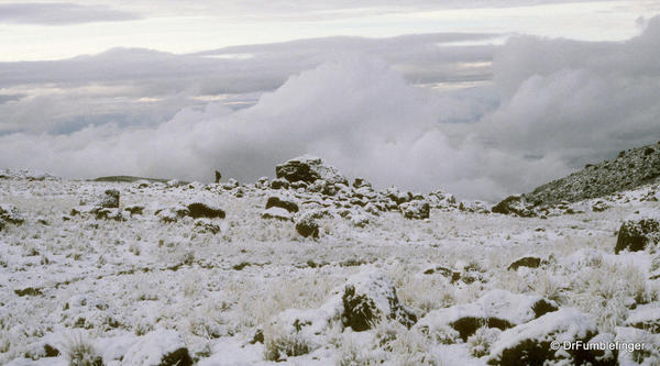 Mt. Kilimanjaro. Fresh snow at Dawn, Sheffield Camp