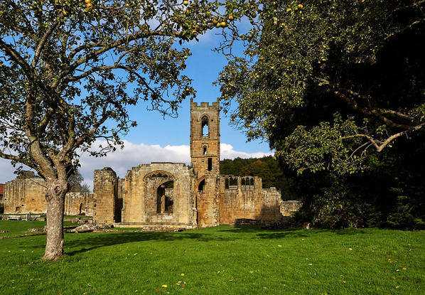 Mt Grace priory trees w2 36 100 1280