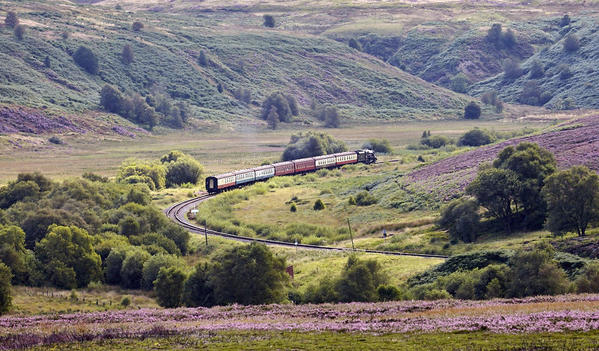 Newtondale train 1