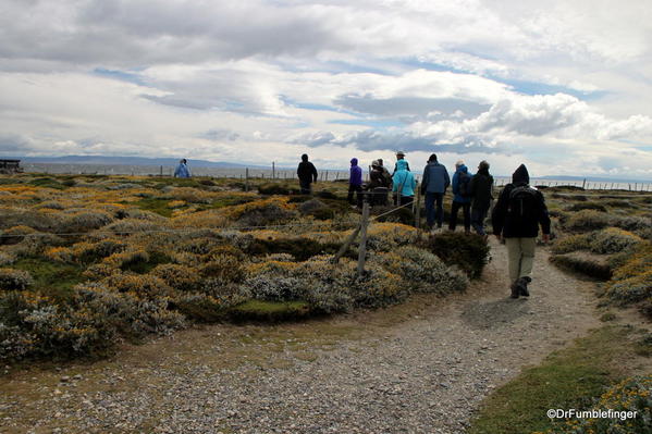 Hiking the nature trail at the Otway Penguin Colony