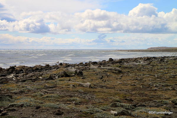 Views from the nature trail at the Otway Penguin Colony