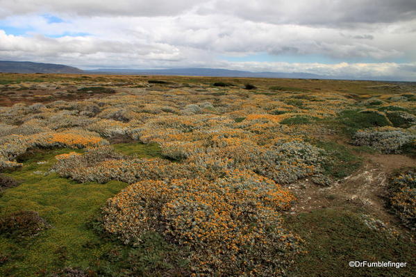 Views from the nature trail at the Otway Penguin Colony