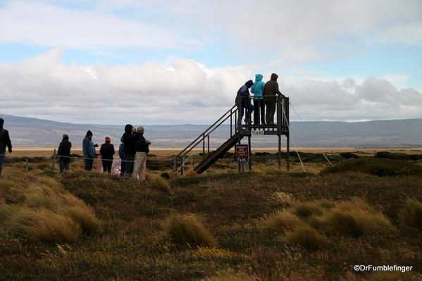 Viewing platform near the nature trail at the Otway Penguin Colony