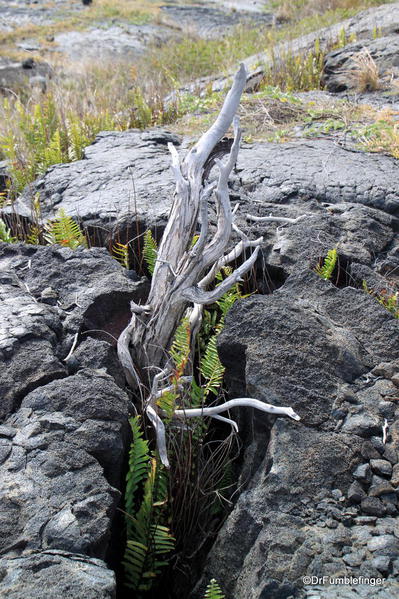 Volcanoes National Park,Hawaii. Chain of Craters Road