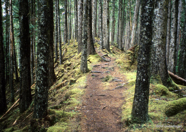 Pesuta Shipwreck Trail, Haida Gwaii