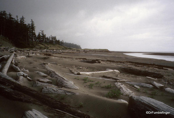 East Beach Trail. Tlell River