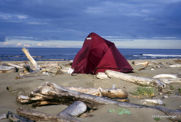 Cape Bell River Camp. East Beach Trail, Haida Gwaii