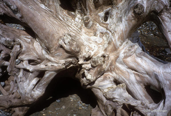 Driftwood art, Cape Bell River Camp. East Beach Trail, Haida Gwaii