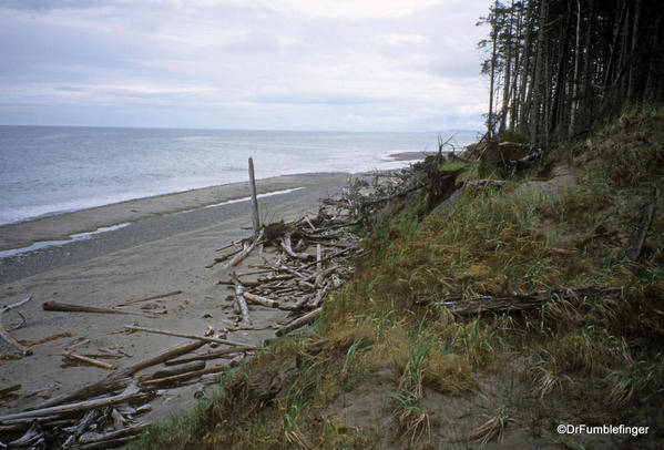 East Beach Trail. Oenada River Shelter