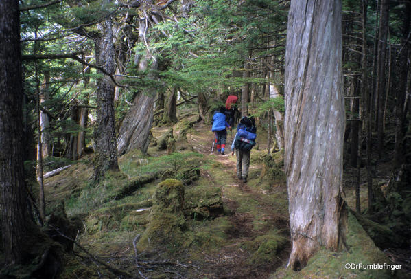 Cape Fife trail. East Beach Trail, Haida Gwaii