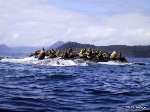 Seal Rock, Haida Gwaii